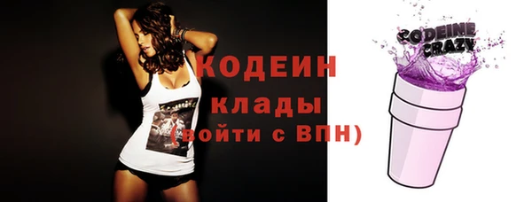 apvp Вяземский