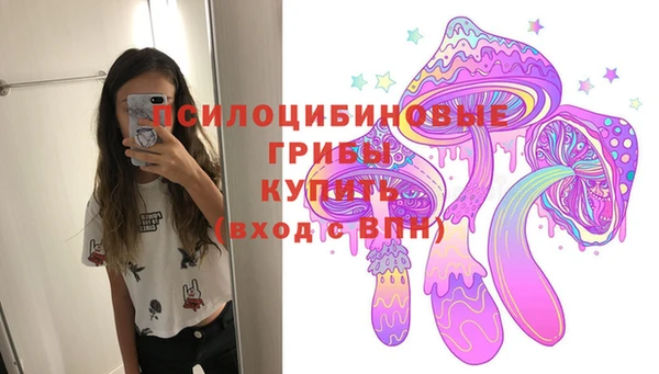 а пвп мука Горняк